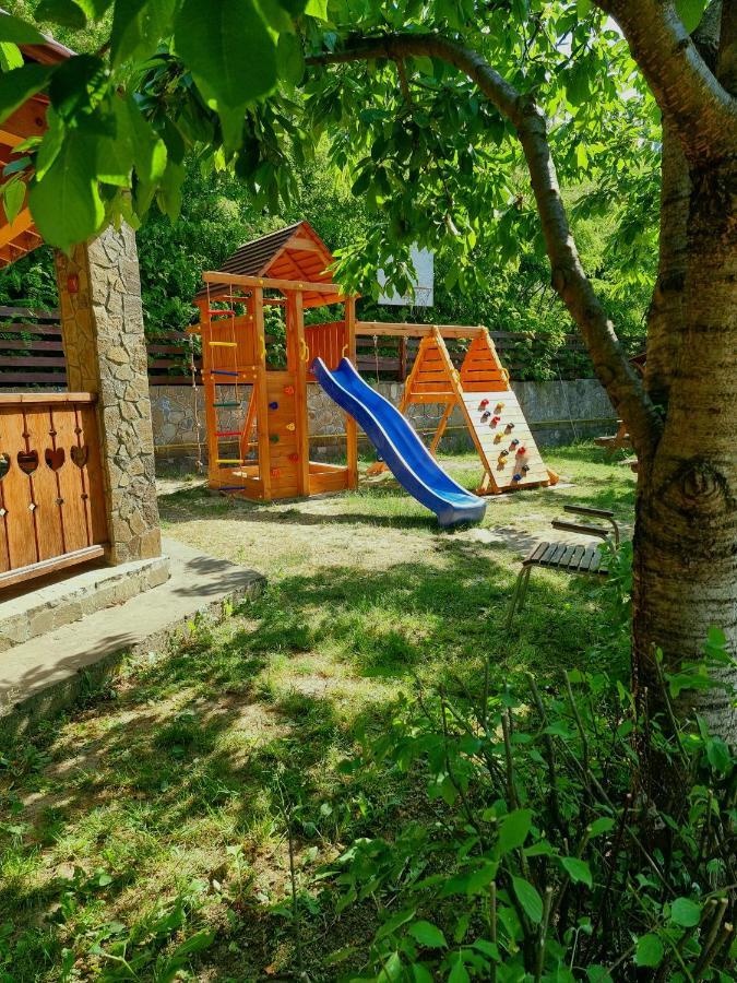 Pensiunea Moldova Piatra Neamţ Eksteriør billede
