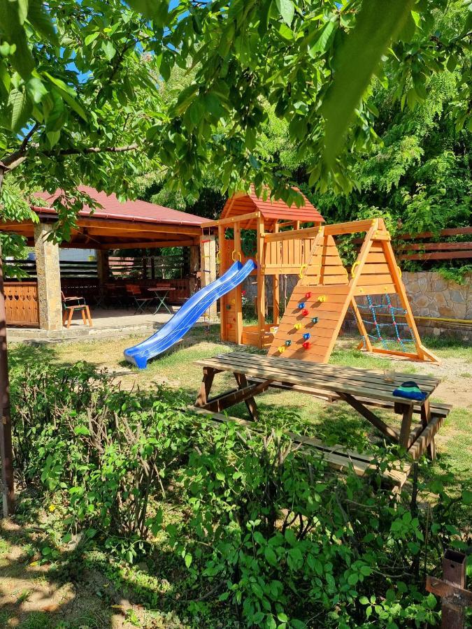 Pensiunea Moldova Piatra Neamţ Eksteriør billede