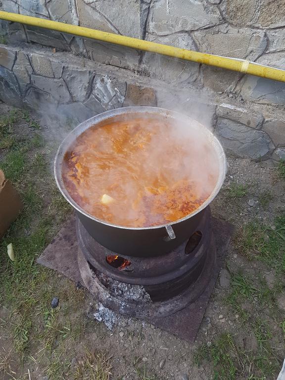 Pensiunea Moldova Piatra Neamţ Eksteriør billede
